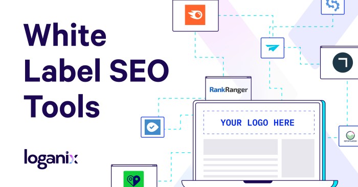 7 Best White Label SEO Agencies You Can Work With